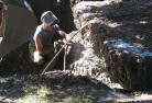 Bucca Waukalandscape-demolition-and-removal-6.jpg; ?>